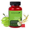 Apple Cider Vinegar Gummies Formulated to Support Normal Energy Levels & Gut Health - Supports Digestion, Detox & Cleansing - ACV Gummies W/VIT B12 Dietary Edible Fitness