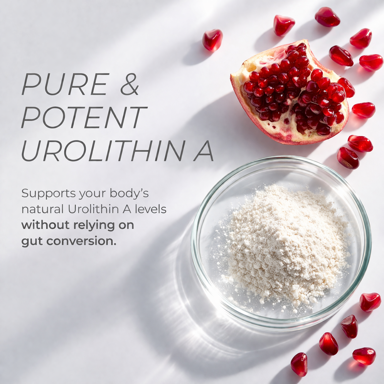 Urolithin A Supplement Longevity Gummies 500mg with Trans-Resveratrol, CoQ10 Mitochondrial & Cellular Energy Support for Healthy Aging, Muscle Strength & Longevity Vegan, Non-GMO, 60 Count