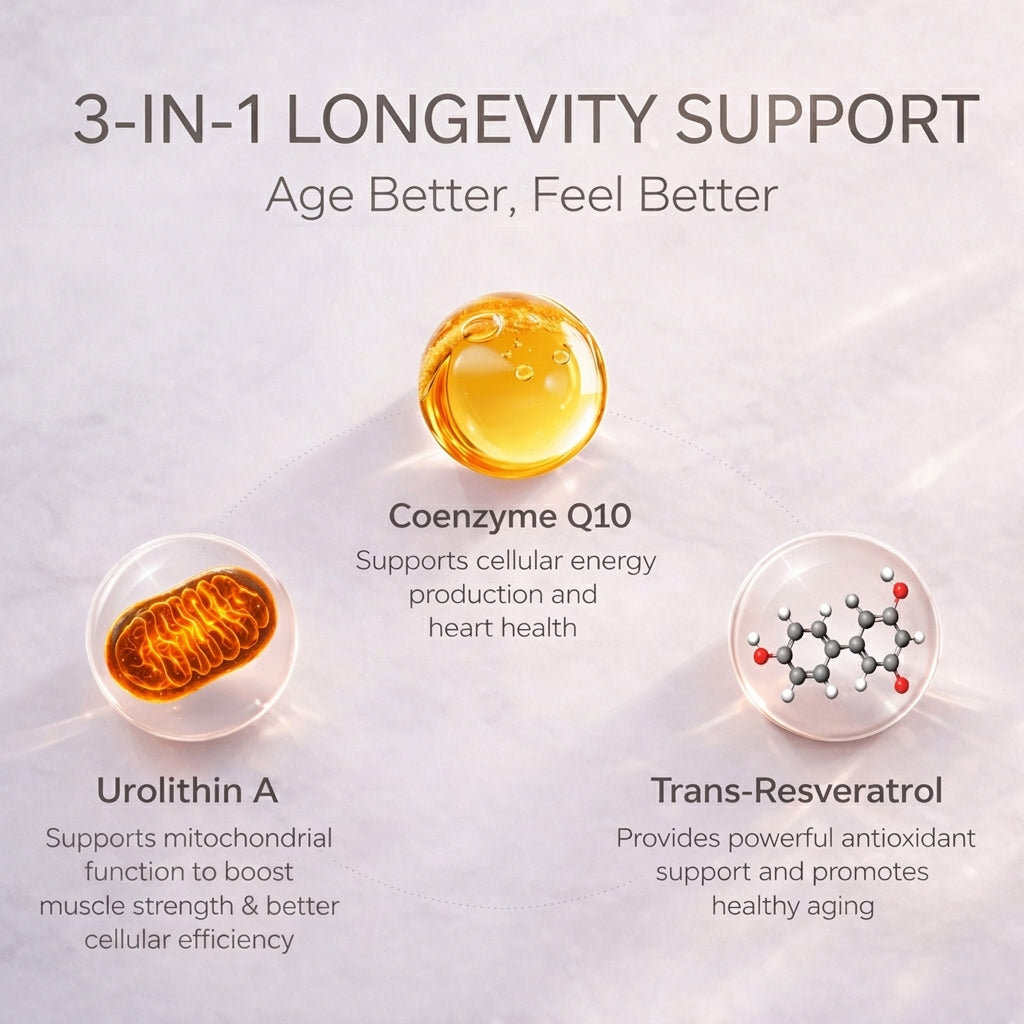 Urolithin A Supplement Longevity Gummies 500mg with Trans-Resveratrol, CoQ10 Mitochondrial & Cellular Energy Support for Healthy Aging, Muscle Strength & Longevity Vegan, Non-GMO, 60 Count